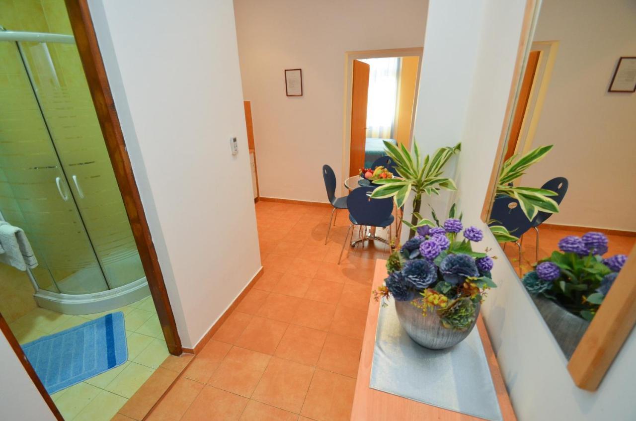 Apartments Vojin Risan Room photo